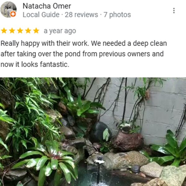 pond-cleaning-review