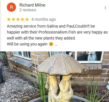 pond-maintenance-review