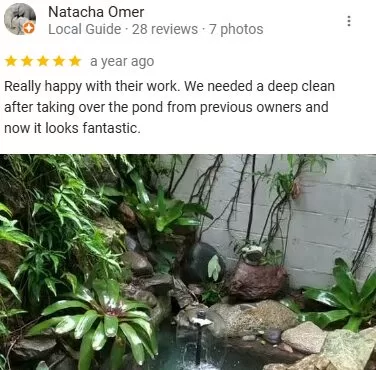 pond-cleaning-review