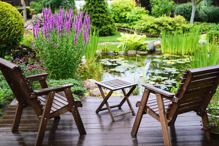 pond-cleaning-Brisbane